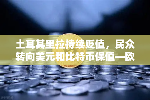 土耳其里拉持续贬值,民众转向美元和比特币保值—欧易交易所助力资产避险新选择-第1张图片-欧易交易所 土耳其里拉持续贬值,民众转向美元和比特币保值—欧易交易所助力资产避险新选择-第1张图片-欧易交易所