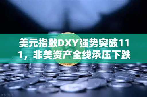 美元指数DXY强势突破111，非美资产全线承压下跌，欧易交易所官网深度解析市场风向