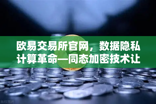 欧易交易所官网,数据隐私计算革命—同态加密技术让数据可用不可见-第1张图片-欧易交易所 欧易交易所官网,数据隐私计算革命—同态加密技术让数据可用不可见-第1张图片-欧易交易所