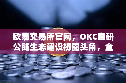 欧易交易所官网，OKC自研公链生态建设初露头角，全面满足用户多种加密数字资产业务需求