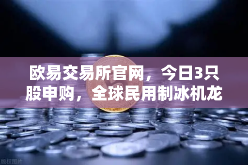 欧易交易所官网，今日3只股申购，全球民用制冰机龙头引领新股炒作逻辑解析