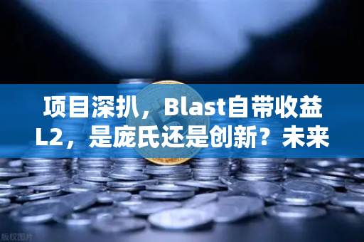 项目深扒，Blast自带收益L2，是庞氏还是创新？未来潜力何在？