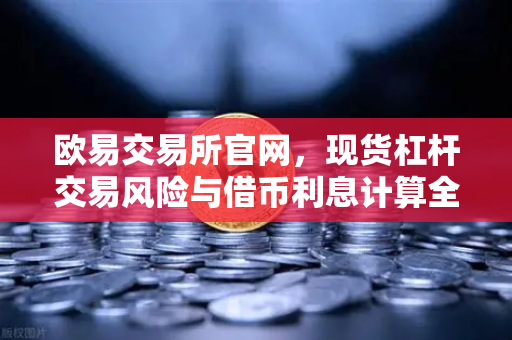 欧易交易所官网，现货杠杆交易风险与借币利息计算全解析