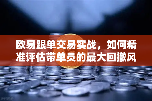 欧易跟单交易实战，如何精准评估带单员的最大回撤风险？