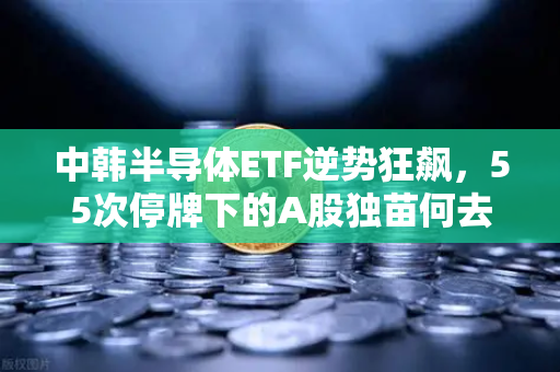 中韩半导体ETF逆势狂飙，55次停牌下的A股独苗何去何从？