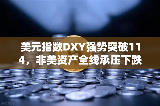 美元指数DXY强势突破114，非美资产全线承压下跌，全球金融市场震荡加剧