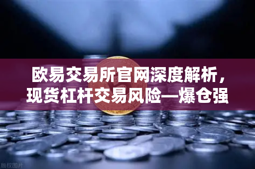 欧易交易所官网深度解析，现货杠杆交易风险—爆仓强平价格是如何计算的？
