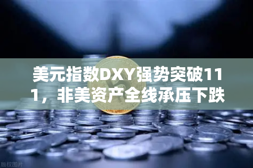美元指数DXY强势突破111，非美资产全线承压下跌—市场震荡下的投资策略解析
