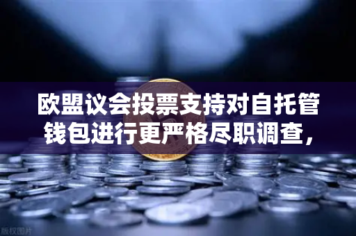 欧盟议会投票支持对自托管钱包进行更严格尽职调查，加密行业面临监管新变局