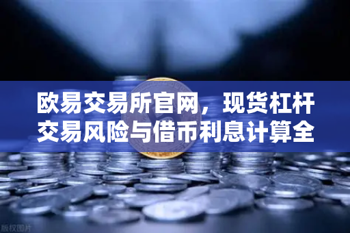 欧易交易所官网，现货杠杆交易风险与借币利息计算全解析