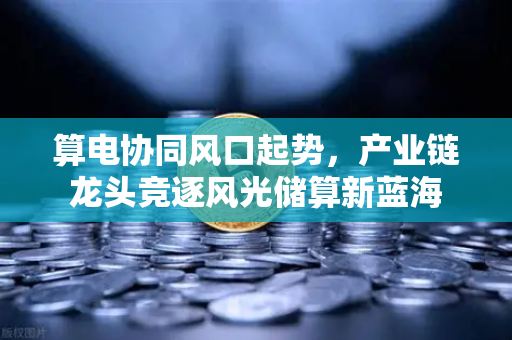 算电协同风口起势，产业链龙头竞逐风光储算新蓝海