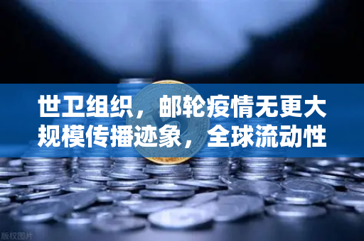 世卫组织，邮轮疫情无更大规模传播迹象，全球流动性危机解除？深度解读与市场影响