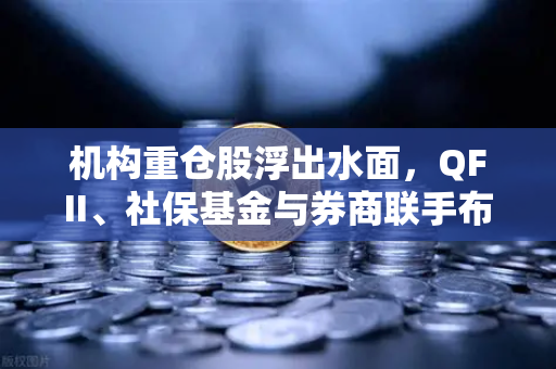 机构重仓股浮出水面，QFII、社保基金与券商联手布局涉币概念股的新投资逻辑
