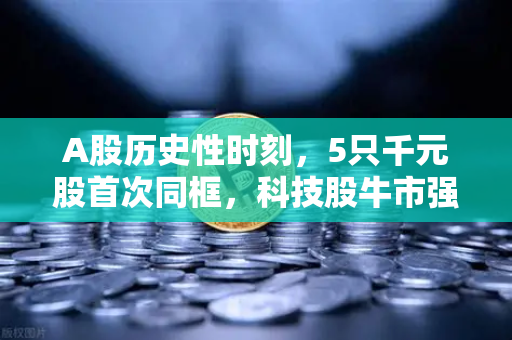 A股历史性时刻，5只千元股首次同框，科技股牛市强势来袭