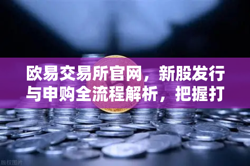 欧易交易所官网，新股发行与申购全流程解析，把握打新机遇