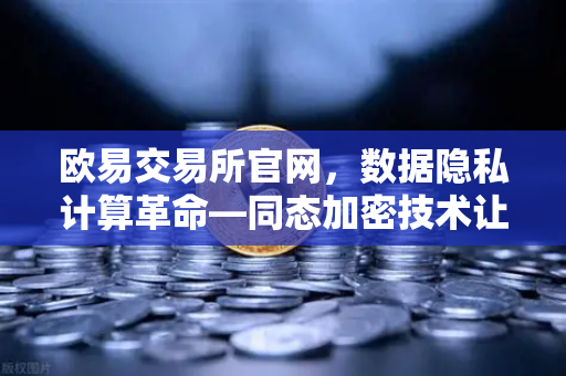 欧易交易所官网，数据隐私计算革命—同态加密技术让数据可用不可见