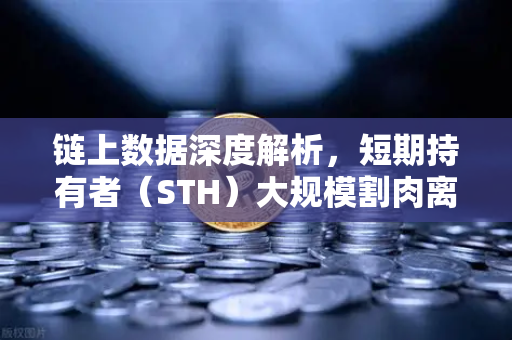 链上数据深度解析，短期持有者（STH）大规模割肉离场，市场底部信号是否已现？