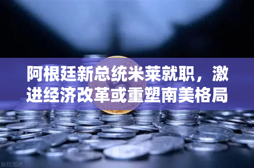 阿根廷新总统米莱就职，激进经济改革或重塑南美格局，加密市场迎来新契机