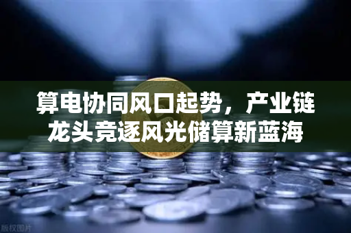 算电协同风口起势，产业链龙头竞逐风光储算新蓝海