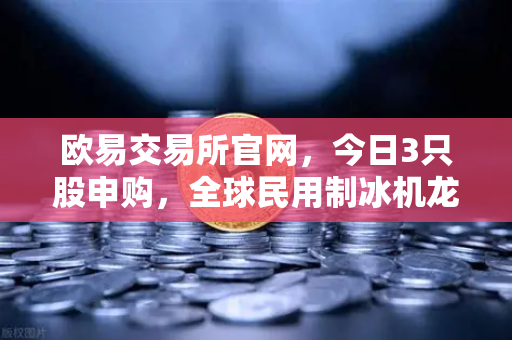 欧易交易所官网，今日3只股申购，全球民用制冰机龙头领衔，新股炒作逻辑深度解析