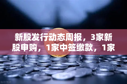 新股发行动态周报，3家新股申购，1家中签缴款，1家新股上市—2025年投资机会解析