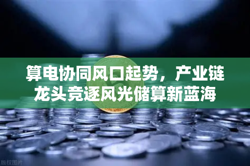算电协同风口起势，产业链龙头竞逐风光储算新蓝海