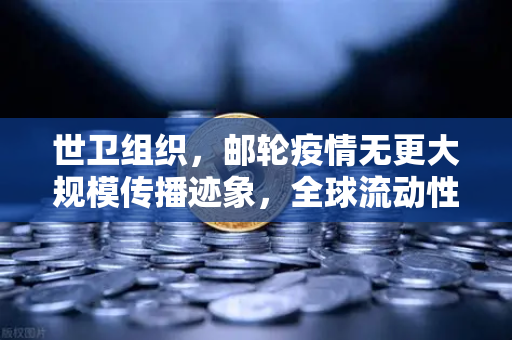 世卫组织，邮轮疫情无更大规模传播迹象，全球流动性危机解除？欧易交易所官网深度解读
