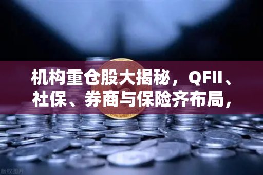 机构重仓股大揭秘，QFII、社保、券商与保险齐布局，多只涉币概念股浮出水面