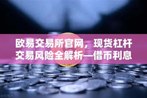 欧易交易所官网，现货杠杆交易风险全解析—借币利息如何计算？