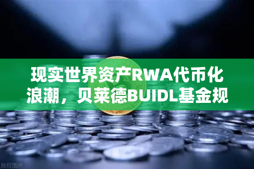 现实世界资产RWA代币化浪潮，贝莱德BUIDL基金规模翻倍，欧易交易所引领加密新趋势
