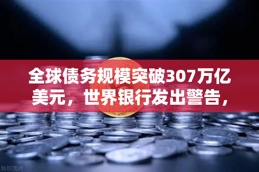 全球债务规模突破307万亿美元，世界银行发出警告，各国经济面临严峻考验
