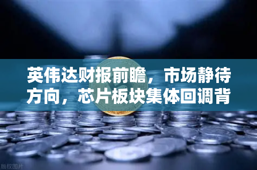 英伟达财报前瞻，市场静待方向，芯片板块集体回调背后的真相