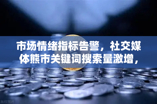 市场情绪指标告警，社交媒体熊市关键词搜索量激增，投资者该如何应对？
