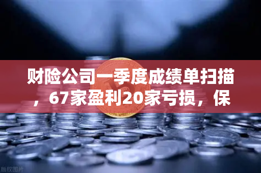 财险公司一季度成绩单扫描，67家盈利20家亏损，保险资金入市偏好解析