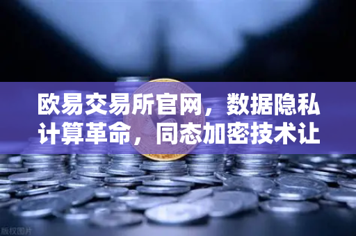 欧易交易所官网，数据隐私计算革命，同态加密技术让数据可用不可见