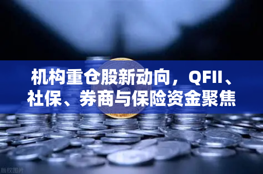 机构重仓股新动向，QFII、社保、券商与保险资金聚焦涉币概念股