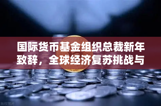 国际货币基金组织总裁新年致辞，全球经济复苏挑战与数字金融新机遇