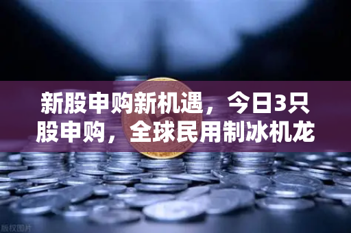 新股申购新机遇，今日3只股申购，全球民用制冰机龙头登场，解析炒作逻辑