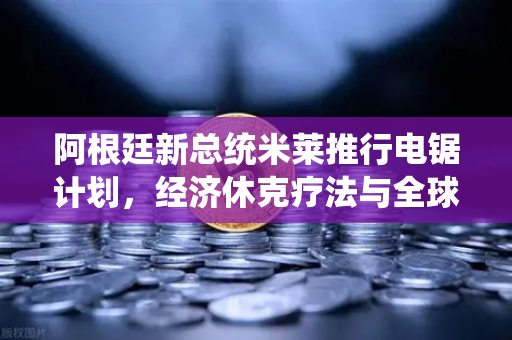 阿根廷新总统米莱推行电锯计划，经济休克疗法与全球市场震荡
