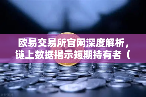 欧易交易所官网深度解析，链上数据揭示短期持有者（STH）大规模割肉离场，市场何去何从？