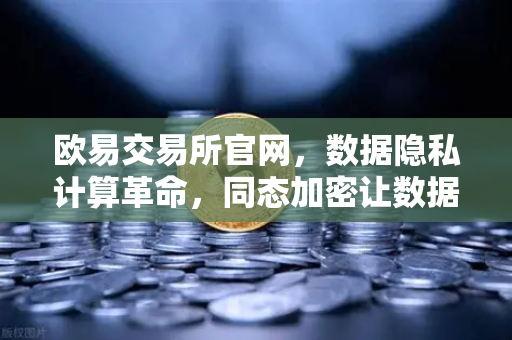 欧易交易所官网，数据隐私计算革命，同态加密让数据可用不可见