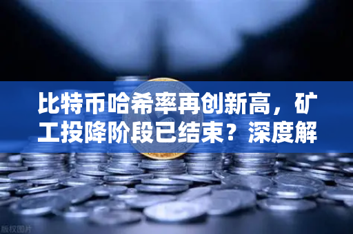比特币哈希率再创新高，矿工投降阶段已结束？深度解析市场信号与投资机遇