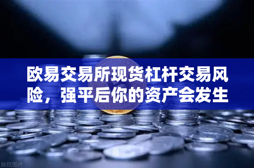 欧易交易所现货杠杆交易风险，强平后你的资产会发生什么？深度解读与风险应对指南
