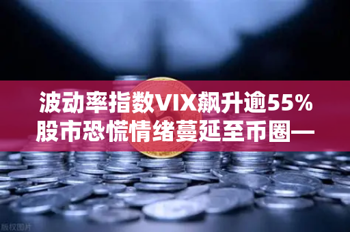 波动率指数VIX飙升逾55%股市恐慌情绪蔓延至币圈—市场何去何从？