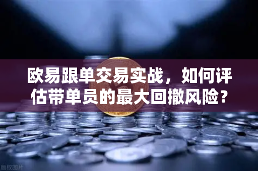 欧易跟单交易实战，如何评估带单员的最大回撤风险？