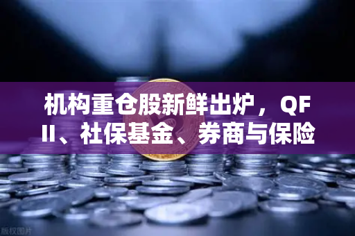 机构重仓股新鲜出炉，QFII、社保基金、券商与保险集体押注涉币概念股