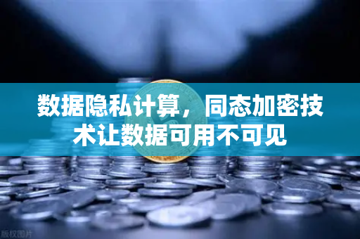 数据隐私计算，同态加密技术让数据可用不可见
