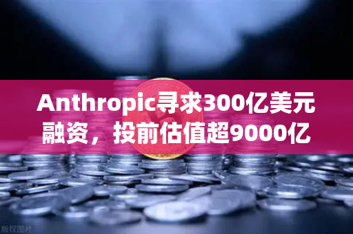Anthropic寻求300亿美元融资，投前估值超9000亿，AI泡沫还是新起点？