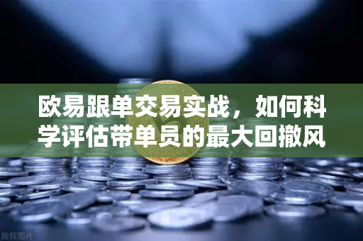 欧易跟单交易实战，如何科学评估带单员的最大回撤风险？