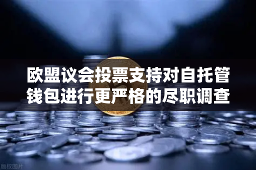 欧盟议会投票支持对自托管钱包进行更严格的尽职调查，加密货币监管新篇章